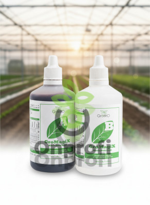 Удобрение GroBro GroMagix A+ B