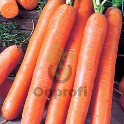 Морковь Роял Форто, 25гр (фасовка) 