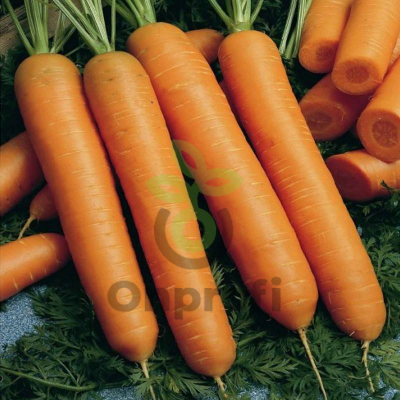 Морковь Балтимор F1, 100 000шт