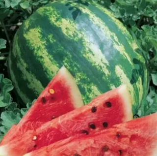 Арбуз Кримсон свит,