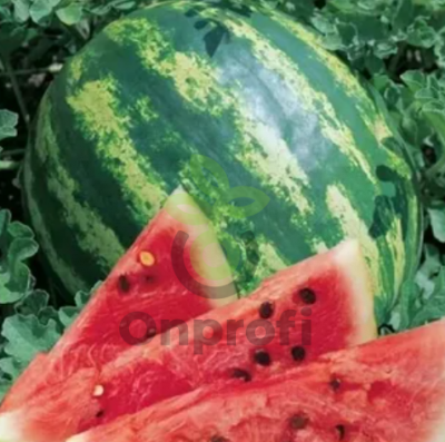 Арбуз Кримсон свит,