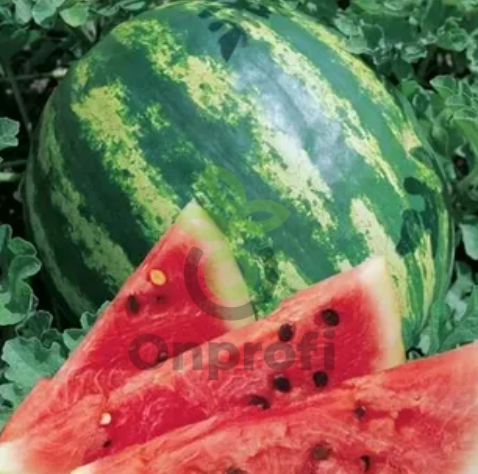 Арбуз Кримсон свит,
