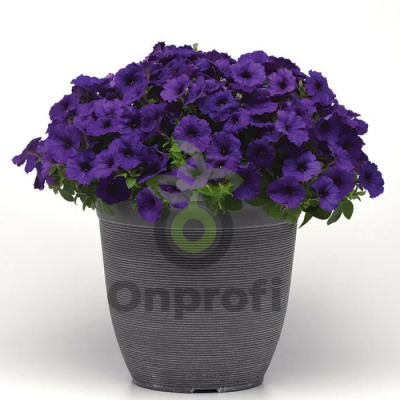 (п.ф.) Петуния Изи Вейв Блю F1,