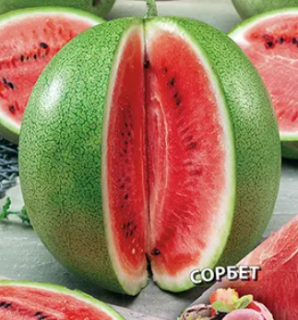 Арбуз Сорбет,
