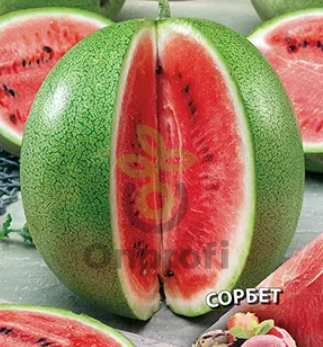 Арбуз Сорбет,