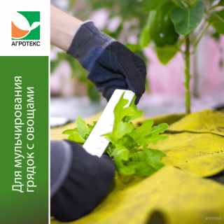 Агроволокно Агротекс Желто-Черный 80 двухслойный, (1,6м х 5м)