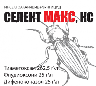 Фунгицид-протравитель Селект Макс (аналог Селест Макс),