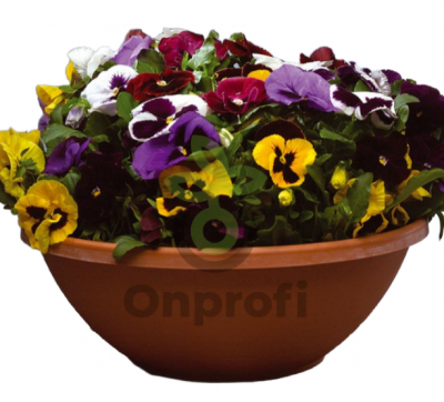 (п.ф.) Виола Виттрока Пауэр Микс F1, 1000 шт (№4-132)