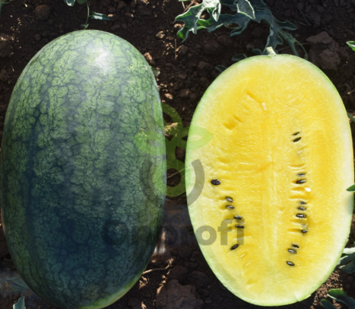 Арбуз Шуга Еллоу,