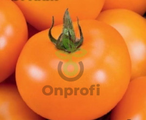 Томат Оранж, 0,5гр (фасовка)