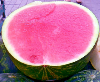 Арбуз Мастер F1,