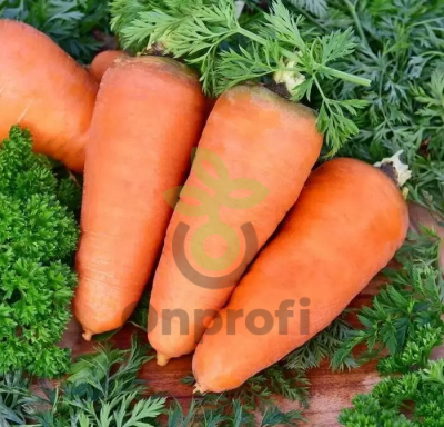 Морковь Шантанэ Фермерская, 0,5кг