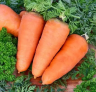 Морковь Шантанэ Фермерская, 0,5кг