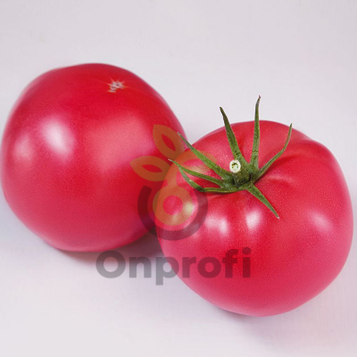 Томат Финли F1,