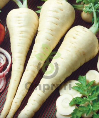 Пастернак Лучший из всех, 1гр (фасовка)