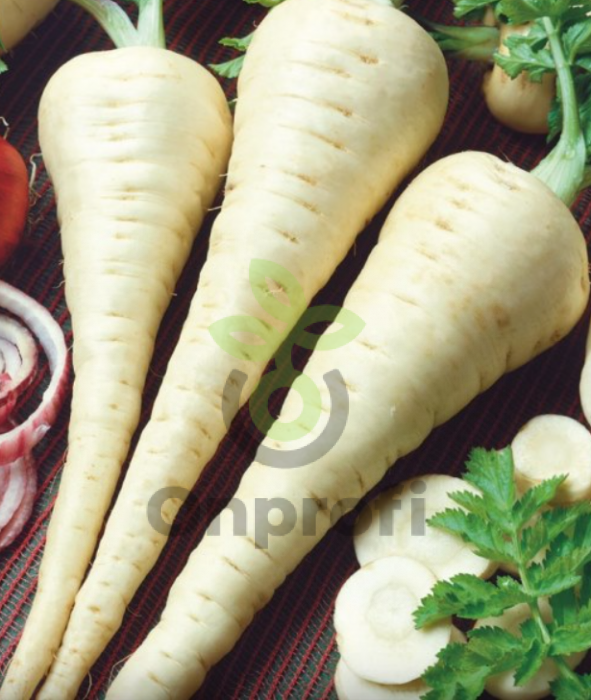 Пастернак Лучший из всех, 1гр (фасовка)