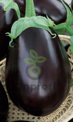 Баклажан Робин Гуд, 0,5гр (фасовка)