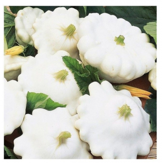 Патиссон Белые 13, 1гр (фасовка)