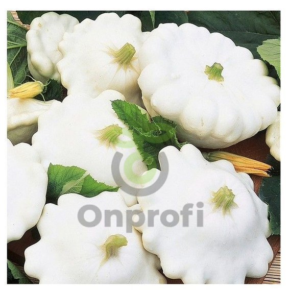 Патиссон Белые 13, 1гр (фасовка)