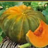 Тыква Мускатная Мускадэ Агро,