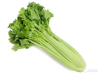 Микрозелень Сельдерей листовой Потенциал, 20гр