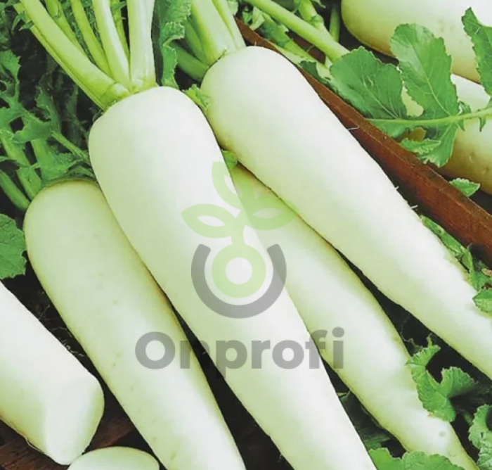 (м.ф.) Дайкон Бивень Мамонта, 1 гр