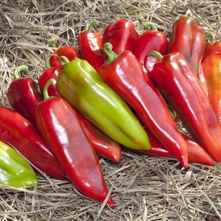 Перец Шинако F1,