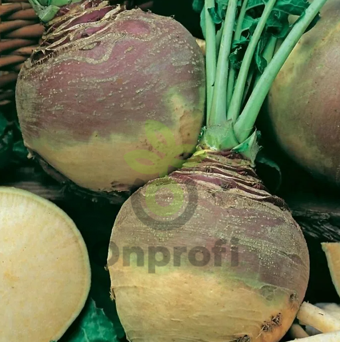 Брюква Красносельская, 1гр (фасовка)