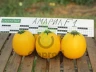 Кабачок Амарилл F1,