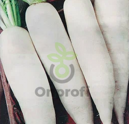 Дайкон Дракон, 1гр (фасовка)