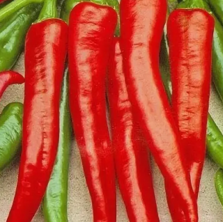 Перец Острый Аджика, 1гр (фасовка)