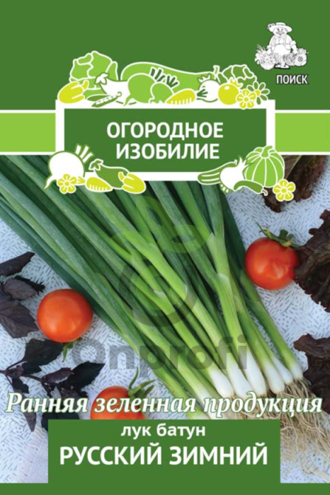 (м.ф.) Лук батун Русский зимний, 1 г 