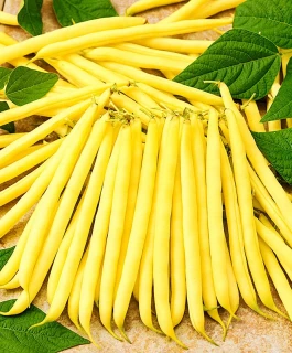 Фасоль спаржевая Октава, 10 гр