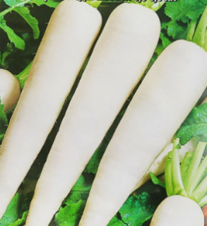 Дайкон Японский длинный, 1гр (фасовка)