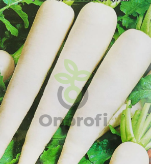 Дайкон Японский длинный, 1гр (фасовка)
