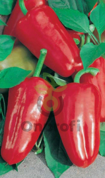 Перец Ласточка, 1гр (фасовка)