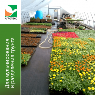 Геоткань Агротекс Черный 100, (1,6м х 50м)