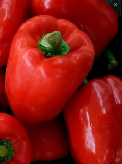 Перец Оленька, 1гр (фасовка)