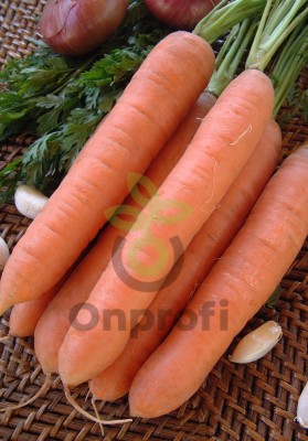 Морковь Нантская 4, 0,5кг