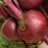 Свекла столовая Пабло,