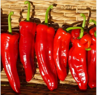 Перец Рамиро красный, 1гр (фасовка)