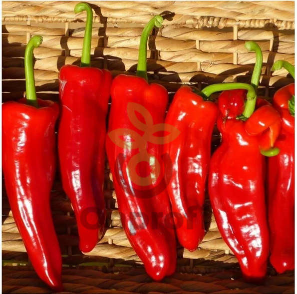 Перец Рамиро красный, 1гр (фасовка)