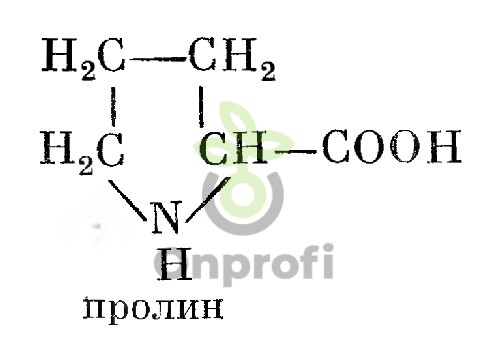 Типы солей аминокислот на примере пролина