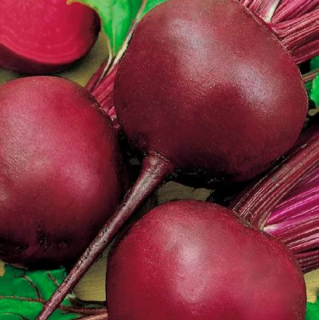 (м.ф.) Свекла Барыня 2г