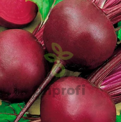 (м.ф.) Свекла Барыня 2г