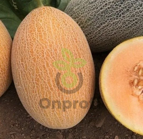 Дыня Ананас, 1гр (фасовка)