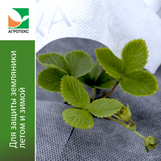 Комплект Агротекс для Земляники садовой (клубники), упаковка