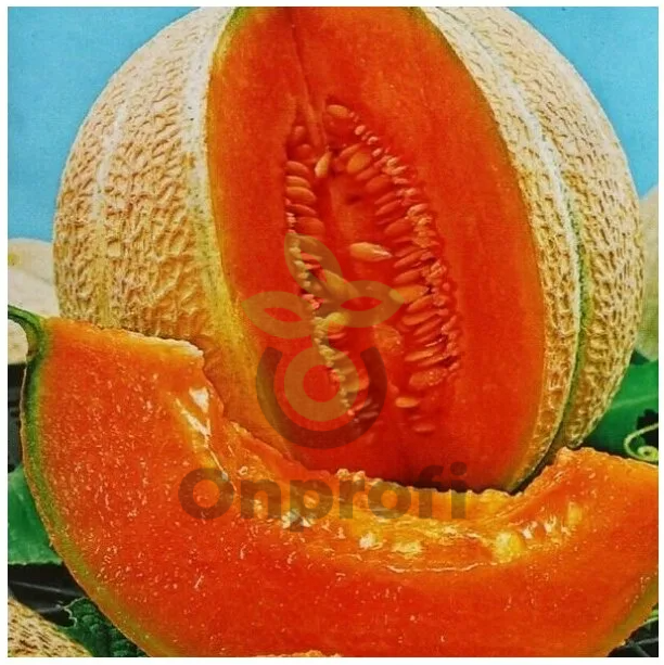 Дыня Бест Джумбо, 1гр (фасовка)