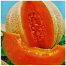 Дыня Бест Джумбо, 1гр (фасовка)