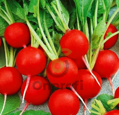 Редис Дуро, 5гр (фасовка)